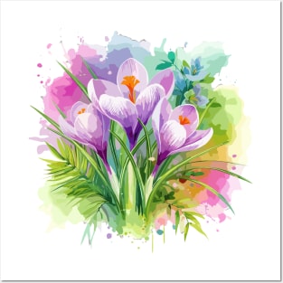 Crocus Flowers Posters and Art